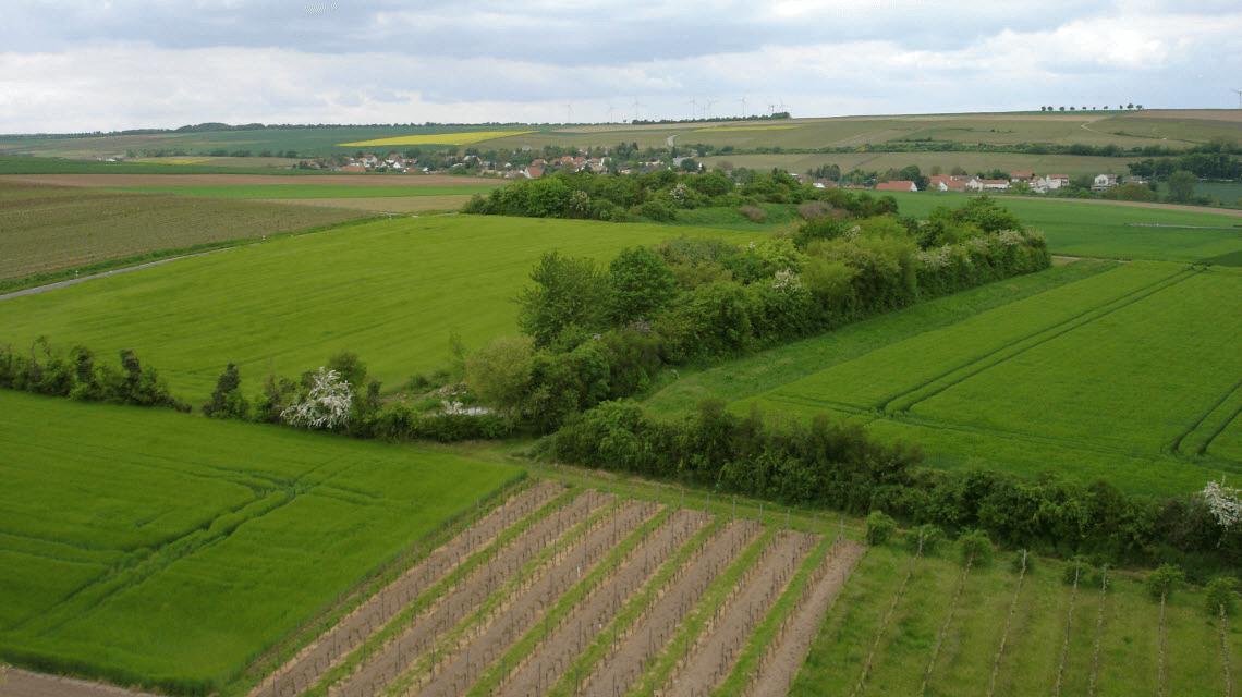 Feuerwehr Esselborn Leiterstellen